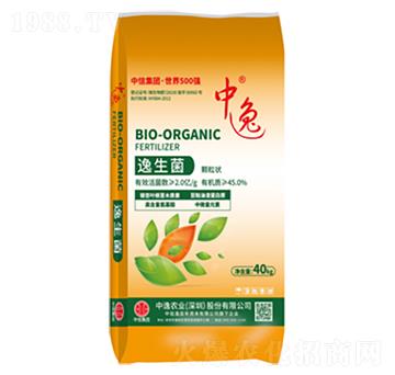 40kg�������-������2�|��-�����r(n��ng)�I(y��)