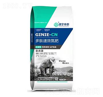 ���ĵ���-�Ѓ|�r