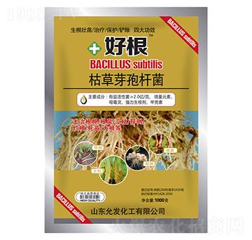 �ݲ�ѿ�ߗU��-�ø�-�欔-�ʰl(f��)����