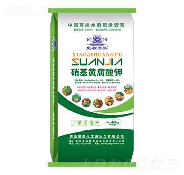 �����S�����-����