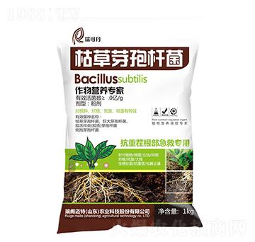 �ݲ�ѿ�ߗU��-��ɵ�-���w�~��