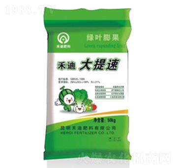 ������-�̵�