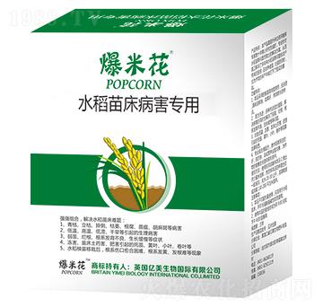 ˮ���紲��������-���׻�-�|������