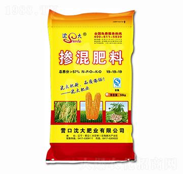 �������19-19-19-���