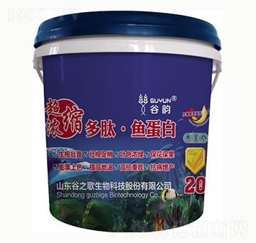 �����~(y��)����-���-��֮��