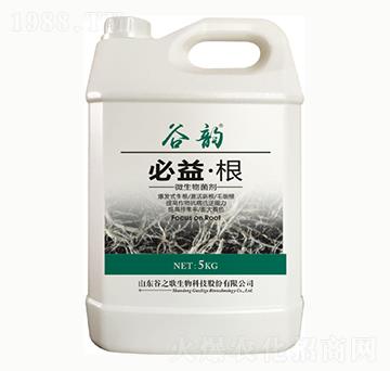 �����-���-��֮��