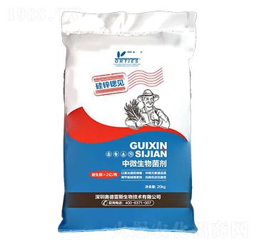 ��΢�������-���\�JҊ(ji��n)-�W����˹