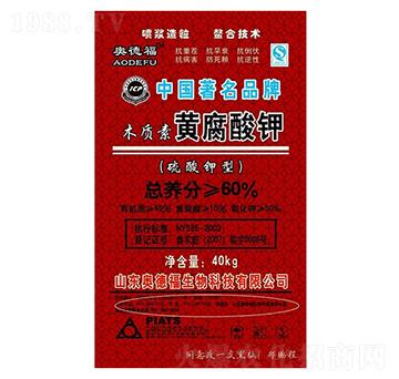 �S�����-�W�¸�