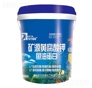 �VԴ�S����⛣��~�͵��ף�-�|��Ӣ�Z