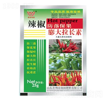 ����������L(zh��ng)��-��(r��n)�����