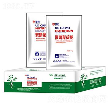 ���׾�̼��-�r(n��ng)��