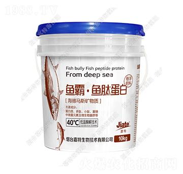 �~(y��)�ԡ��~(y��)�ĵ���-��������