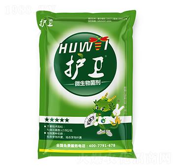 �o(h��)�l(w��i)��΢�������-���G��