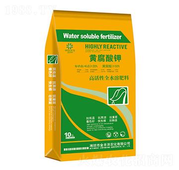 10kg�S�����-���S��