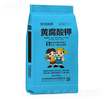 �S�����-�ǵ�ʩ��-�|��