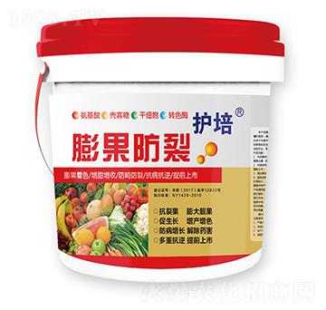 �o���������-�r(n��ng)��