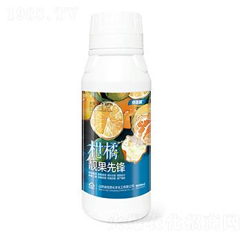 �����n�����h�G����-�L�S����