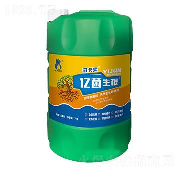 ΢�������-�|������-