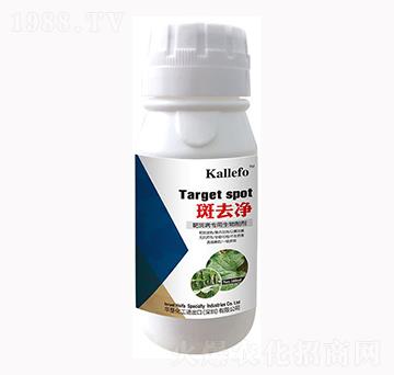 �а߲����������Ƅ�