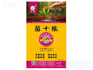 ΢�������-��ʮ�Z-�fֲ