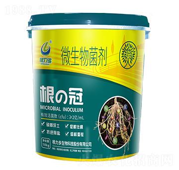 ΢�������-���ι�-������