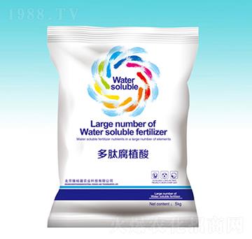 ���ĸ�ֲ��-��ԣ��