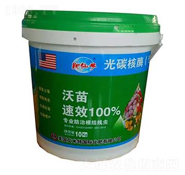 ����-�ֲ���