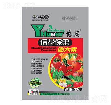 �������������-�A�����Z