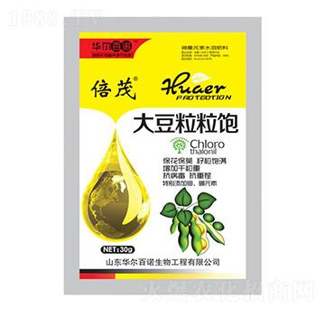 �������-�A�����Z