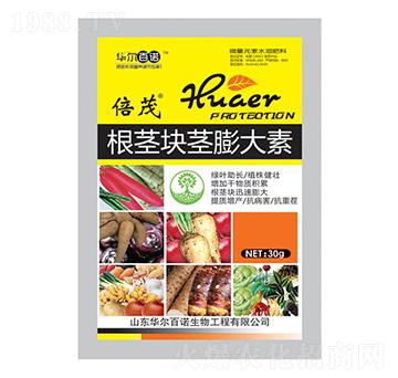 ���o�K�o�����-�A�����Z