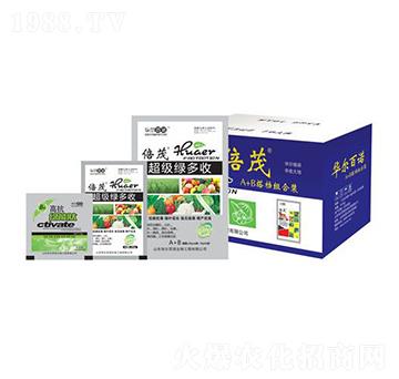 �����G����-�A�����Z