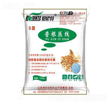 �ո��t(y��)��B��-�ֲ���