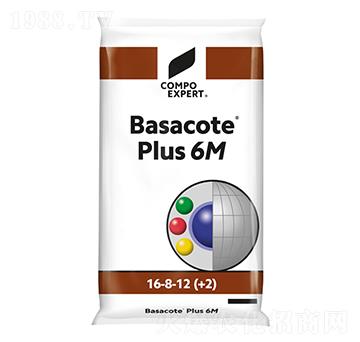 ���_��16-8-12(6M)-����