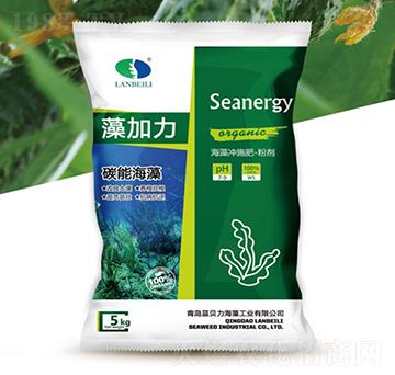 ����_ʩ��-�����-�{ؐ��