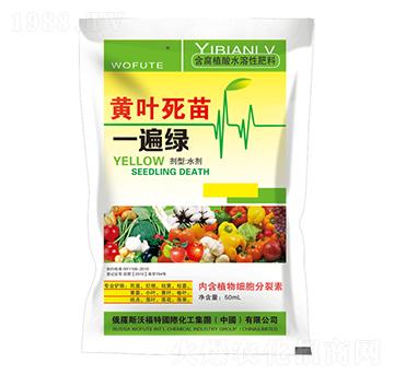 �S�~����һ��G-�|��