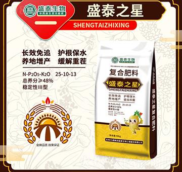 �ͺϷ���25-10-13-ʢ̩֮��-�fͨʢ̩