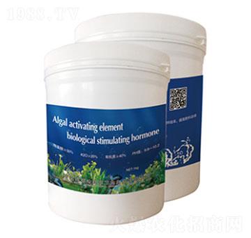 ��������̼���-ʥ�ɶ�