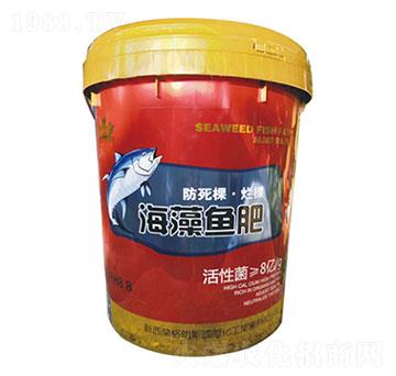 �����~��-ʥ�ɶ�