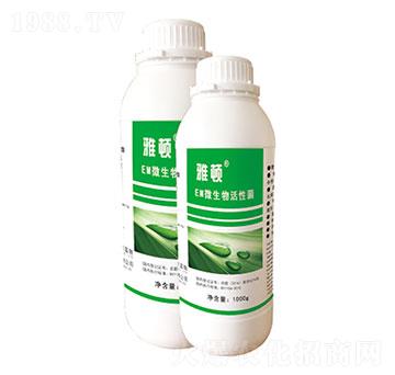 EM΢������Ծ�-���D-ʥ�ɶ�