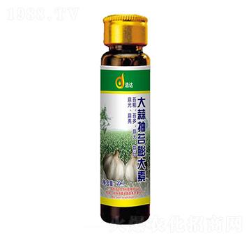 ������_�����-���_(d��)����