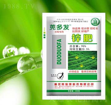 �\��-����l(f��)-˹�ؿ�