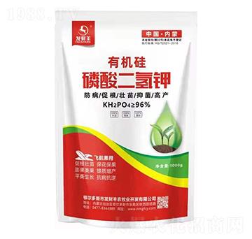 �ЙC����������-�l(f��)ؔ��