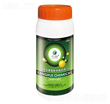 �߼���}-����