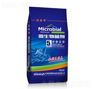 ΢�������-�]��������