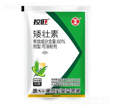 ����������-ȫ�S