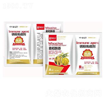 �����h��+�P�����߄�-嫘���