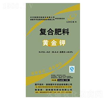 ¡���ƏͺϷ�28-6-6-¡���r�Y