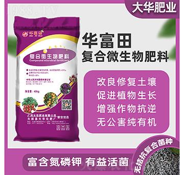 �ͺ�΢�������-�A����-���A����