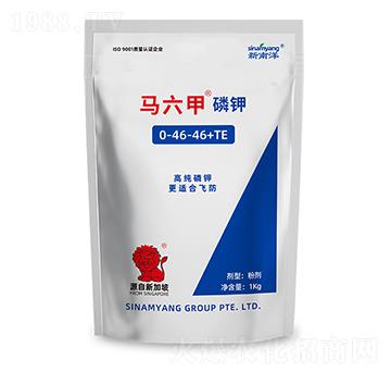 �߼���⛷�0-46-46+TE-�R����-Сħ��