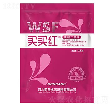 ��������-�I�I�t-�Ȏ�